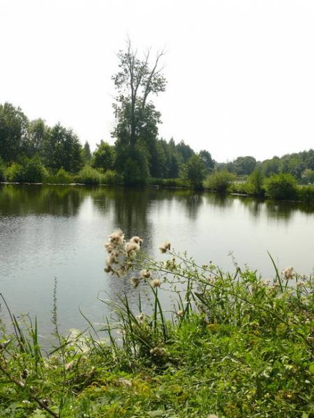  - Zespół pałacowo-parkowy Wołłowiczów. 